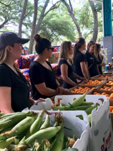 The Junior League of Tampa Volunteers Food Distribution